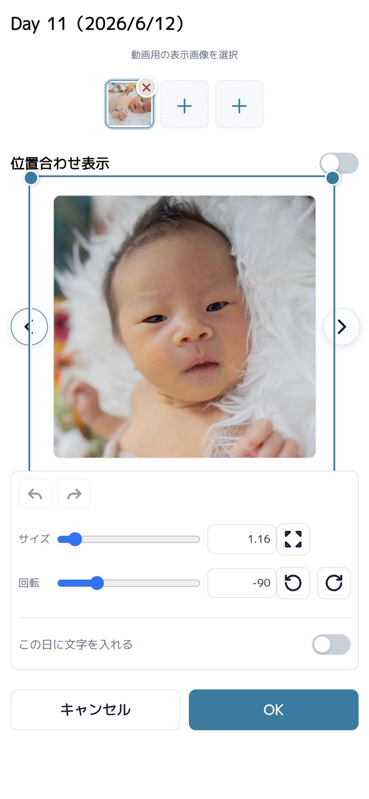 写真の位置とサイズを整える画面